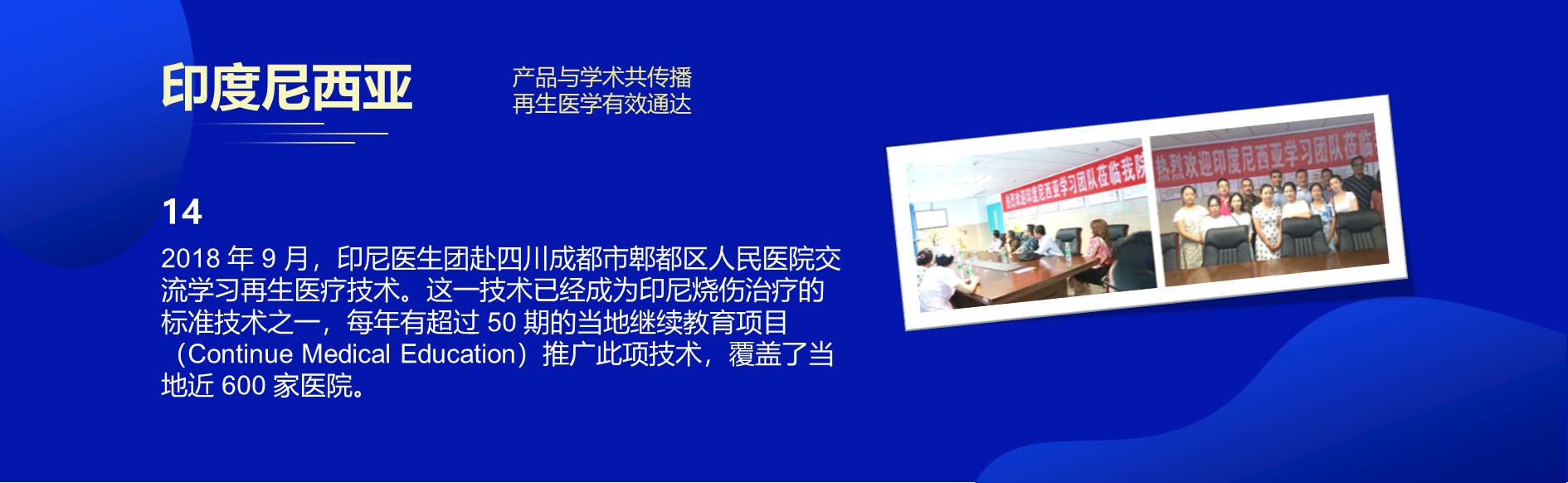 �Ϲ�NG��28(�й���)����Ʒ���������޹�˾